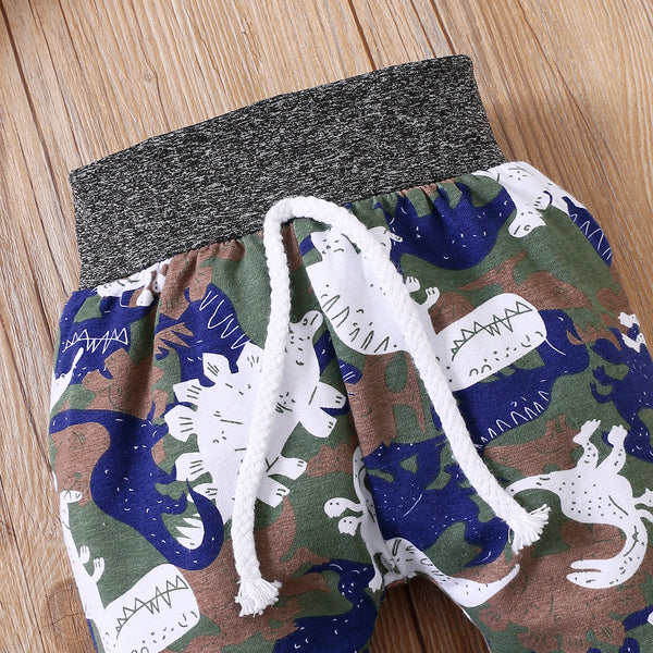 Dinosaur/Camo - Hooded  2pc Set